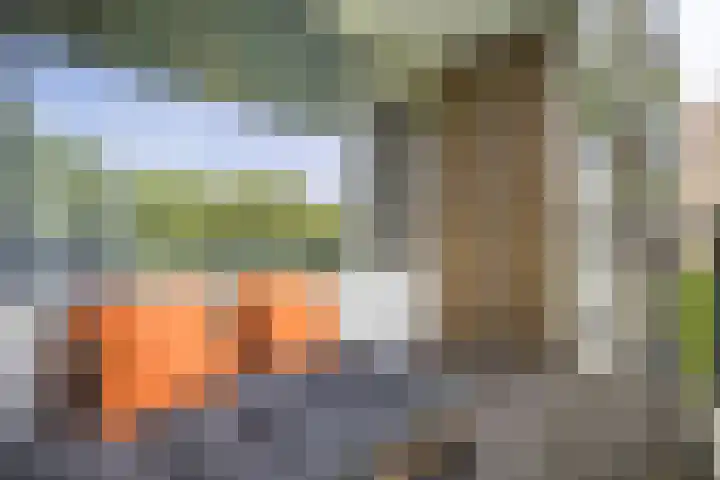 Livingstonelaan 402 Utrecht thumbnail 25
