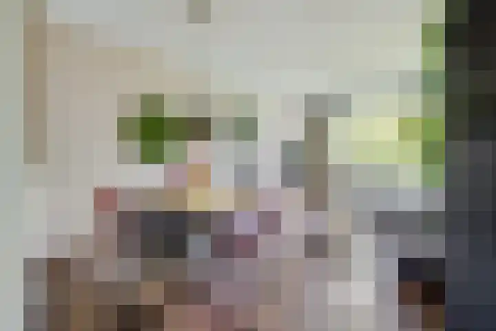 Livingstonelaan 402 Utrecht thumbnail 39