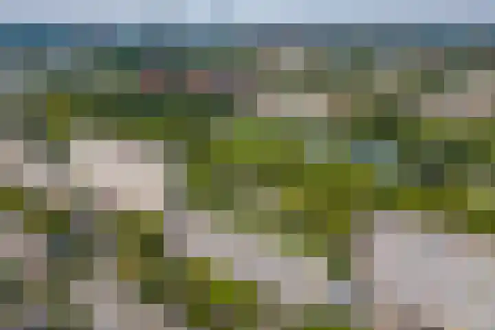 Livingstonelaan 402 Utrecht thumbnail 4
