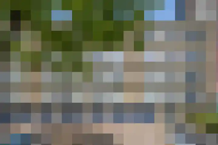 Livingstonelaan 402 Utrecht thumbnail 5