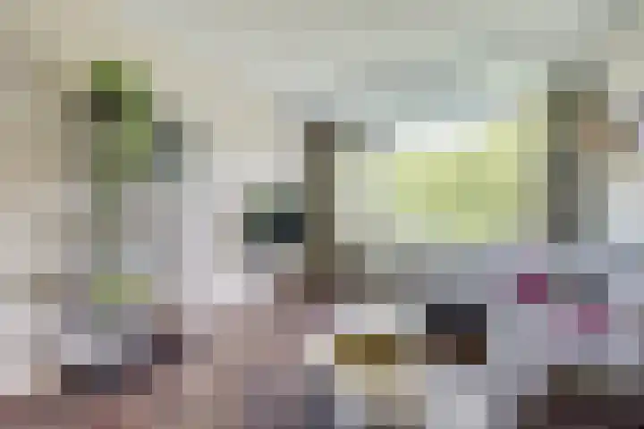 Livingstonelaan 402 Utrecht thumbnail 9