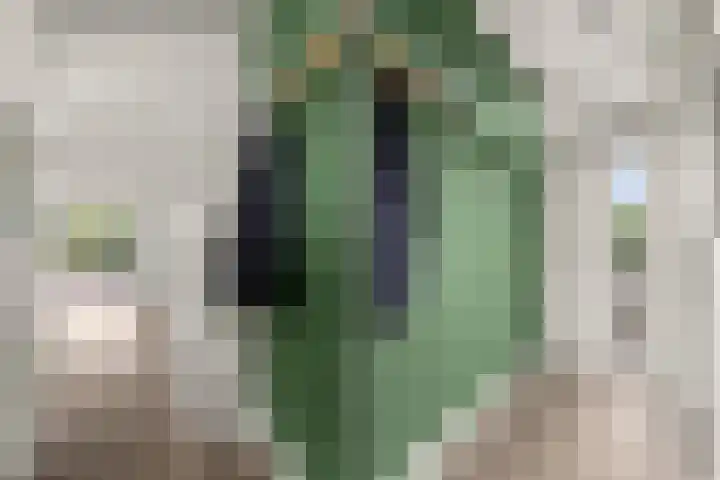 Livingstonelaan 410 Utrecht thumbnail 11