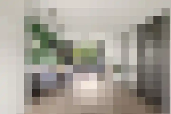 Livingstonelaan 410 Utrecht thumbnail 13