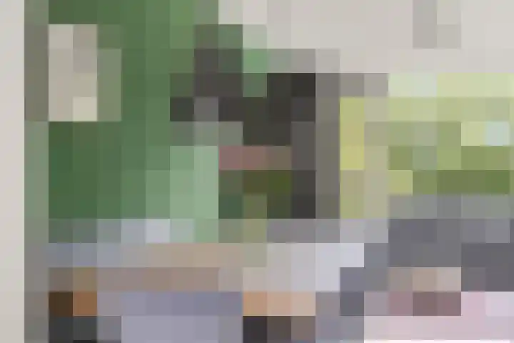 Livingstonelaan 410 Utrecht thumbnail 15
