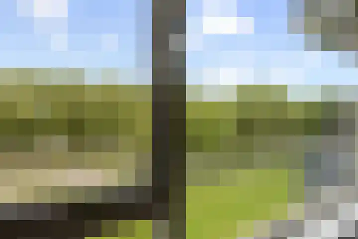 Livingstonelaan 410 Utrecht thumbnail 21