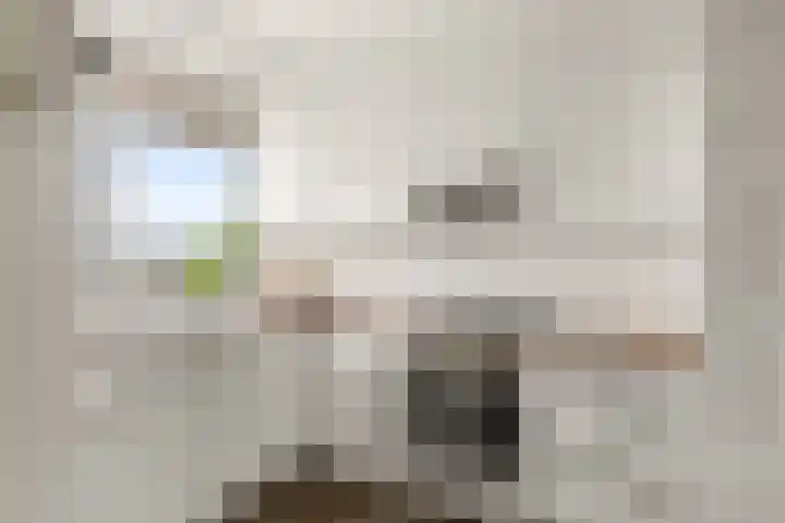 Livingstonelaan 410 Utrecht thumbnail 26