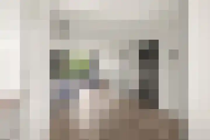 Livingstonelaan 410 Utrecht thumbnail 30