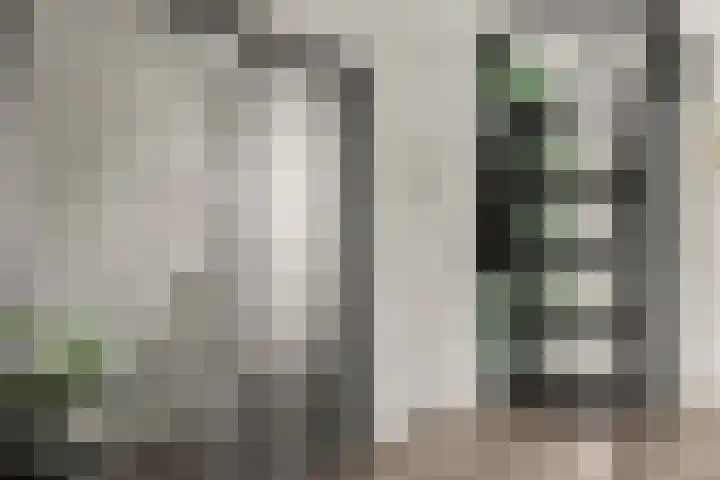 Livingstonelaan 410 Utrecht thumbnail 31
