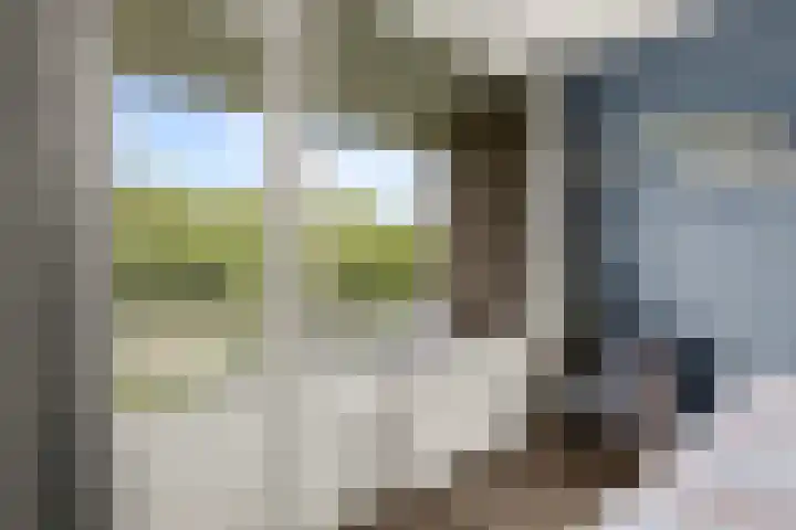 Livingstonelaan 410 Utrecht thumbnail 35