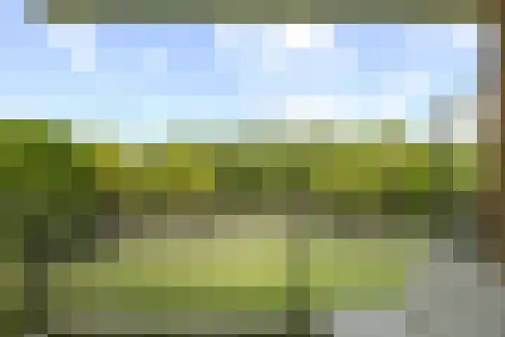 Livingstonelaan 410 Utrecht thumbnail 37