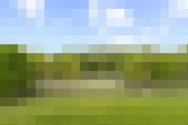 Livingstonelaan 410 Utrecht thumbnail 38