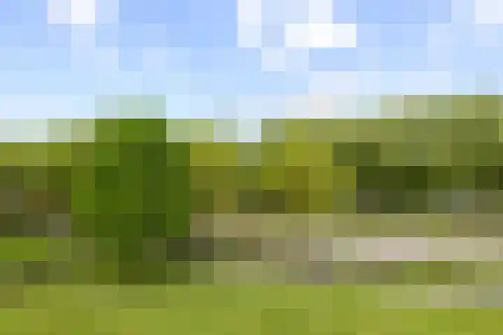 Livingstonelaan 410 Utrecht thumbnail 39