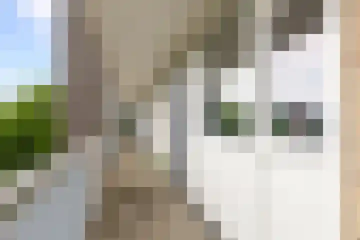 Livingstonelaan 410 Utrecht thumbnail 47