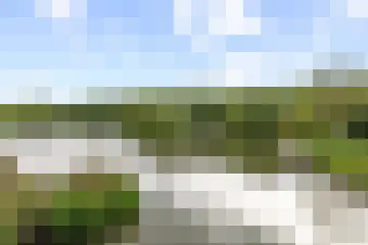 Livingstonelaan 410 Utrecht thumbnail 5