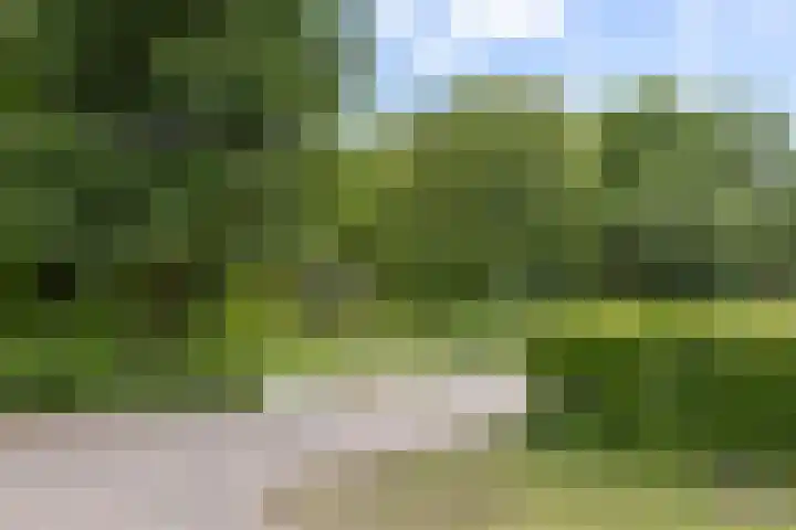 Livingstonelaan 410 Utrecht thumbnail 57