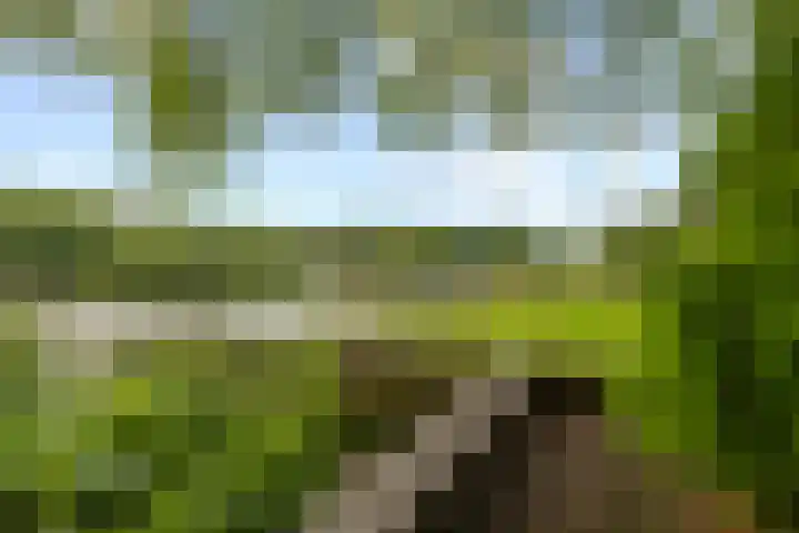 Livingstonelaan 410 Utrecht thumbnail 59