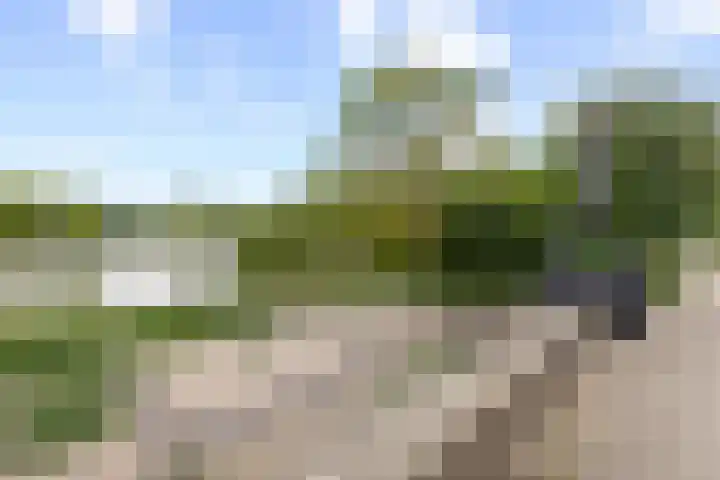 Livingstonelaan 410 Utrecht thumbnail 60