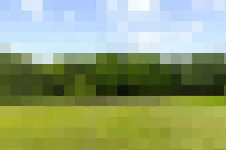 Livingstonelaan 410 Utrecht thumbnail 62