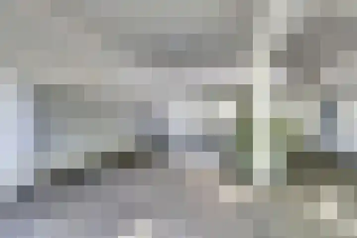 Livingstonelaan 472 Utrecht thumbnail 10