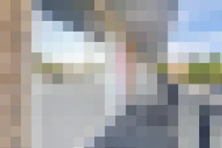 Livingstonelaan 472 Utrecht thumbnail 12