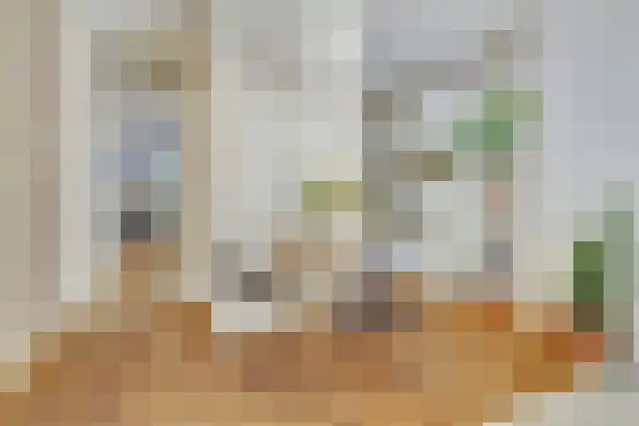 Livingstonelaan 472 Utrecht thumbnail 16