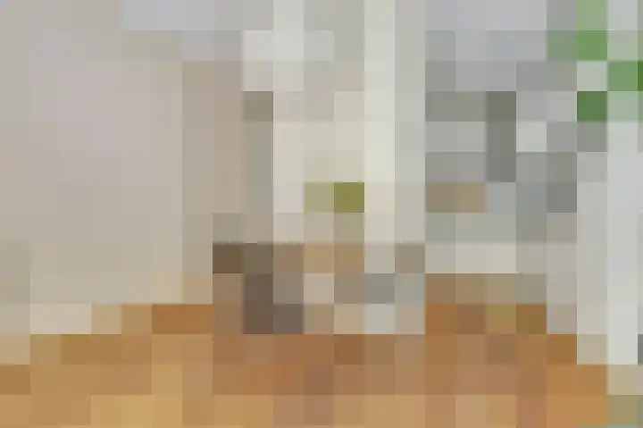 Livingstonelaan 472 Utrecht thumbnail 17