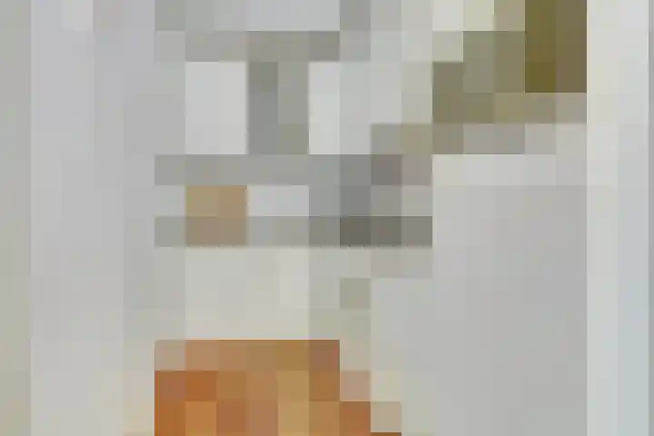 Livingstonelaan 472 Utrecht thumbnail 18