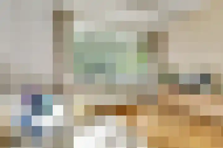Livingstonelaan 472 Utrecht thumbnail 21