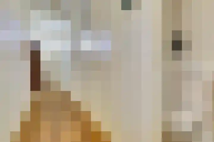 Livingstonelaan 472 Utrecht thumbnail 22