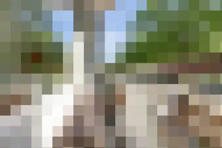 Livingstonelaan 472 Utrecht thumbnail 26