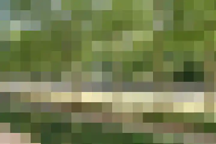 Livingstonelaan 472 Utrecht thumbnail 28