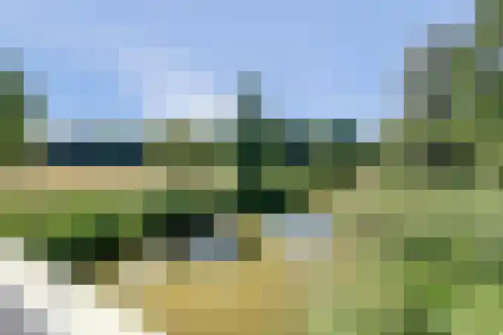 Livingstonelaan 472 Utrecht thumbnail 31