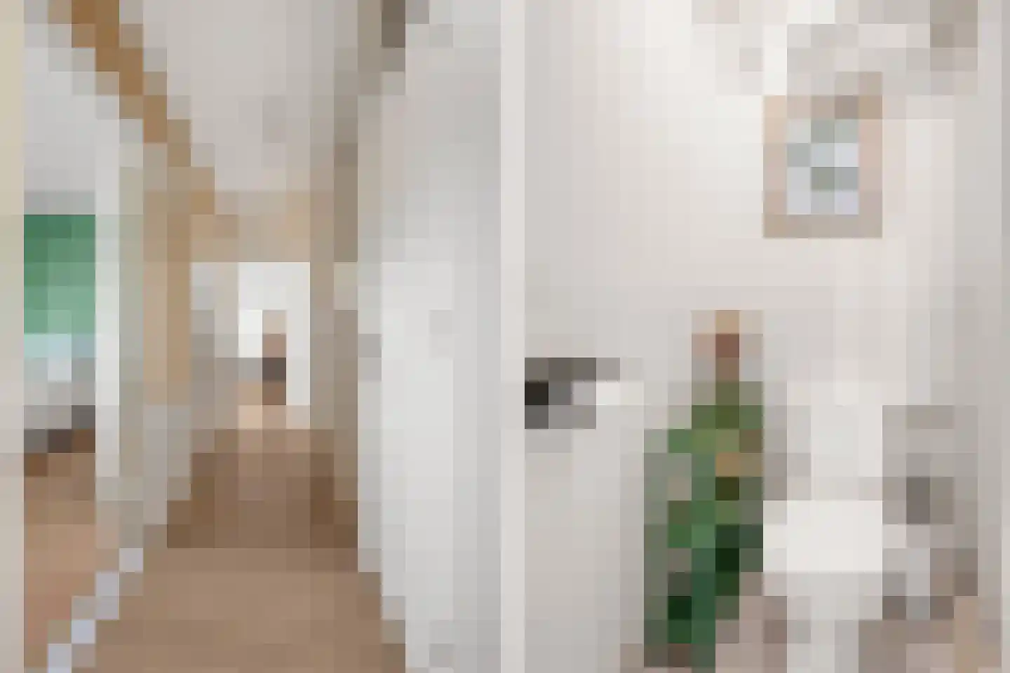 Livingstonelaan 476 Utrecht thumbnail 11