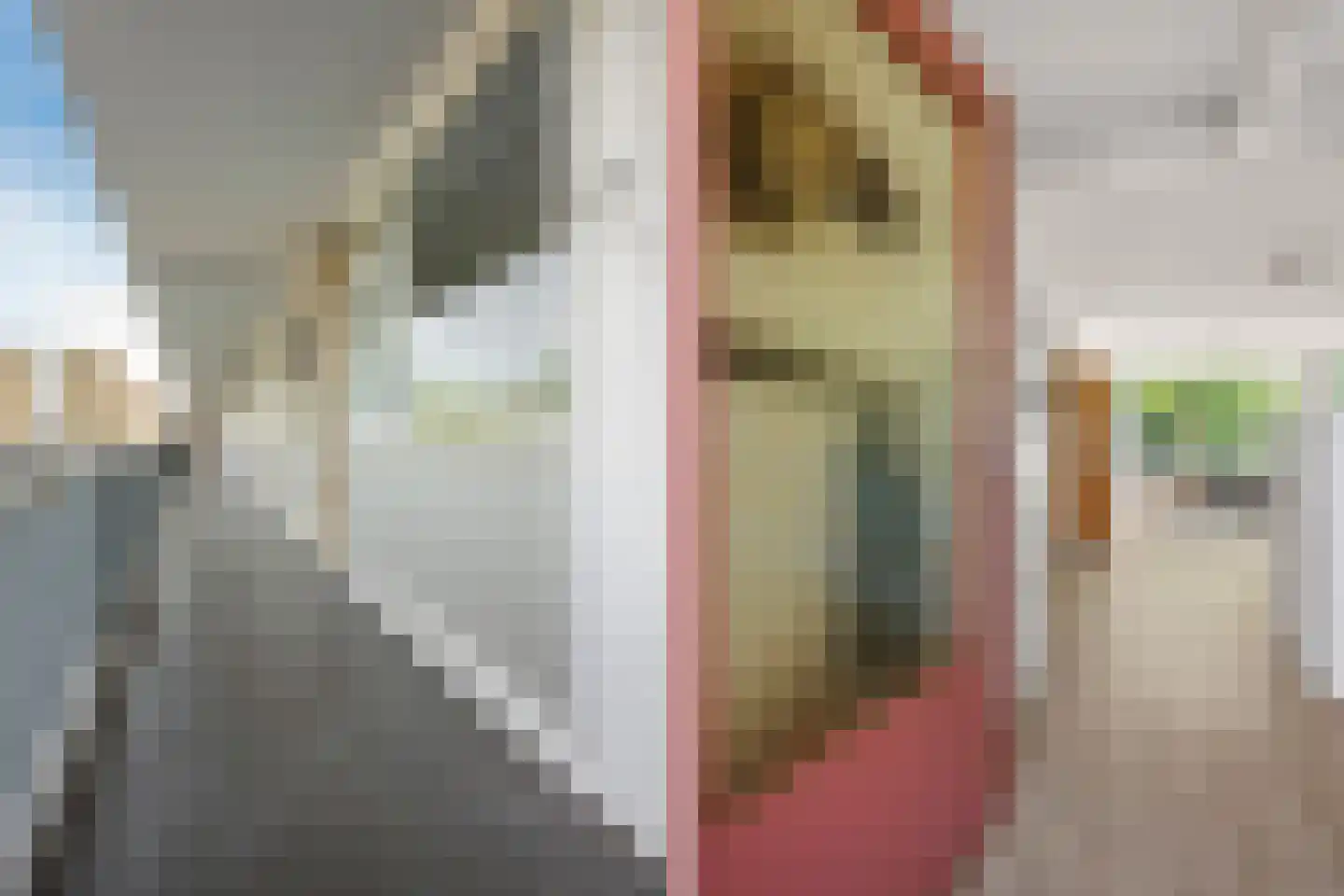 Livingstonelaan 476 Utrecht thumbnail 4