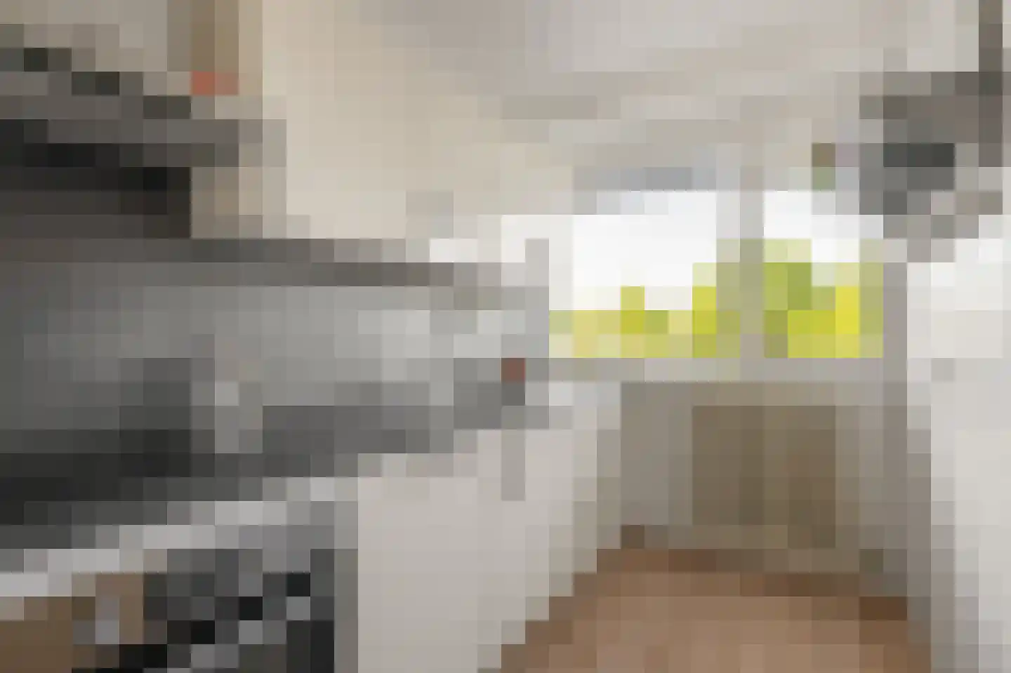Livingstonelaan 476 Utrecht thumbnail 9