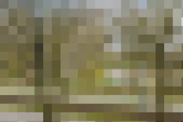 Livingstonelaan 490 Utrecht thumbnail 10