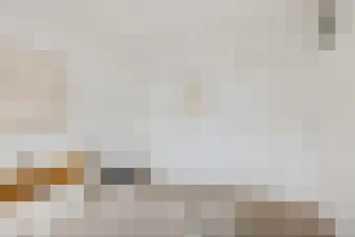 Livingstonelaan 490 Utrecht thumbnail 14