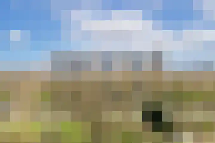 Livingstonelaan 490 Utrecht thumbnail 17