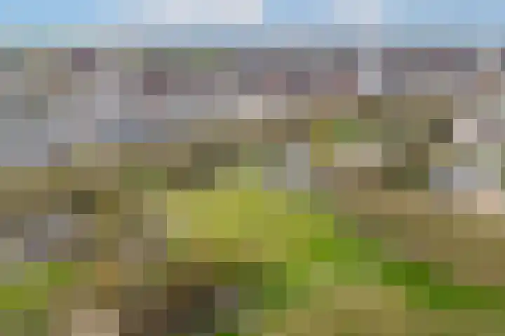 Livingstonelaan 490 Utrecht thumbnail 20