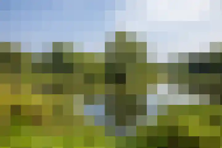 Livingstonelaan 490 Utrecht thumbnail 22