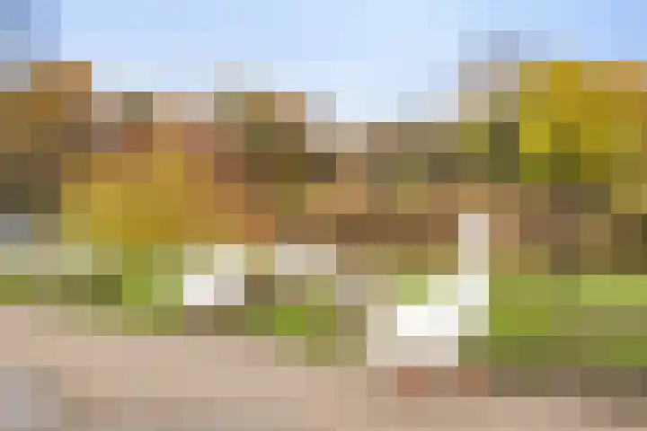 Livingstonelaan 490 Utrecht thumbnail 23