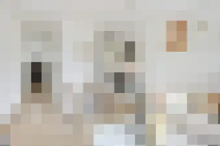 Livingstonelaan 490 Utrecht thumbnail 4