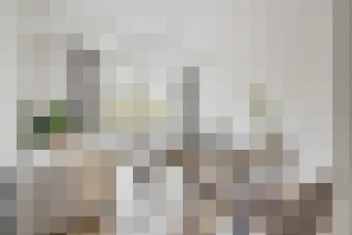 Livingstonelaan 490 Utrecht thumbnail 8