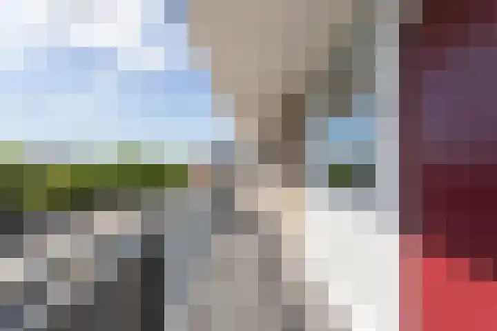 Livingstonelaan 520 Utrecht thumbnail 23