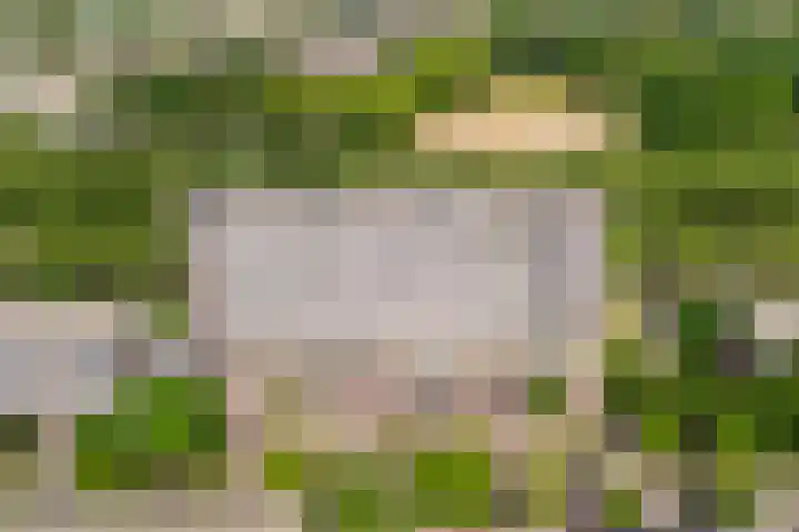 Livingstonelaan 520 Utrecht thumbnail 26