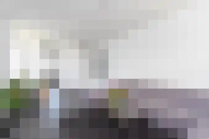 Livingstonelaan 520 Utrecht thumbnail 5