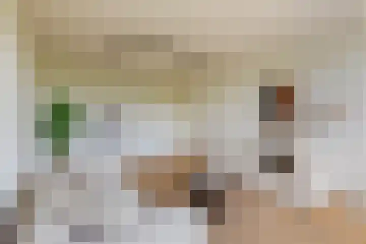 Livingstonelaan 540 Utrecht thumbnail 12