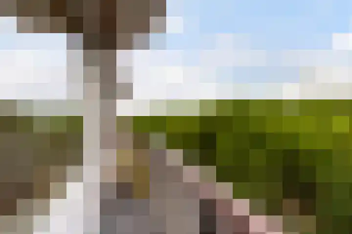 Livingstonelaan 540 Utrecht thumbnail 13