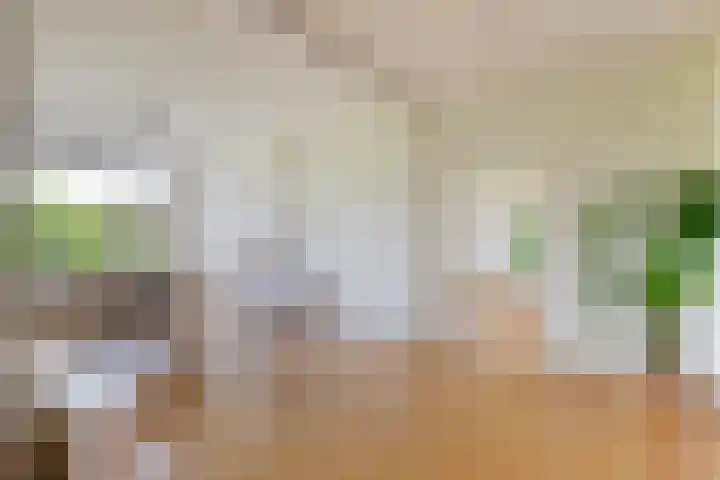 Livingstonelaan 540 Utrecht thumbnail 14