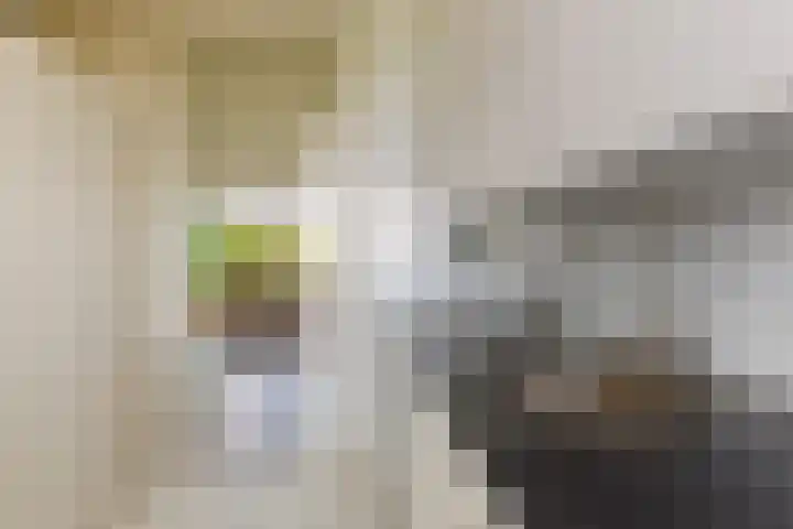 Livingstonelaan 540 Utrecht thumbnail 18